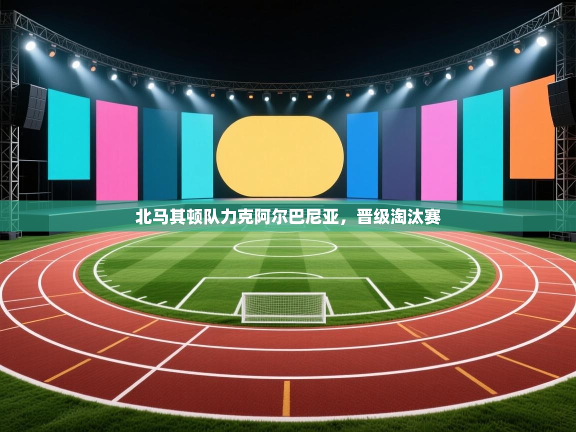 北马其顿队力克阿尔巴尼亚，晋级淘汰赛  第2张