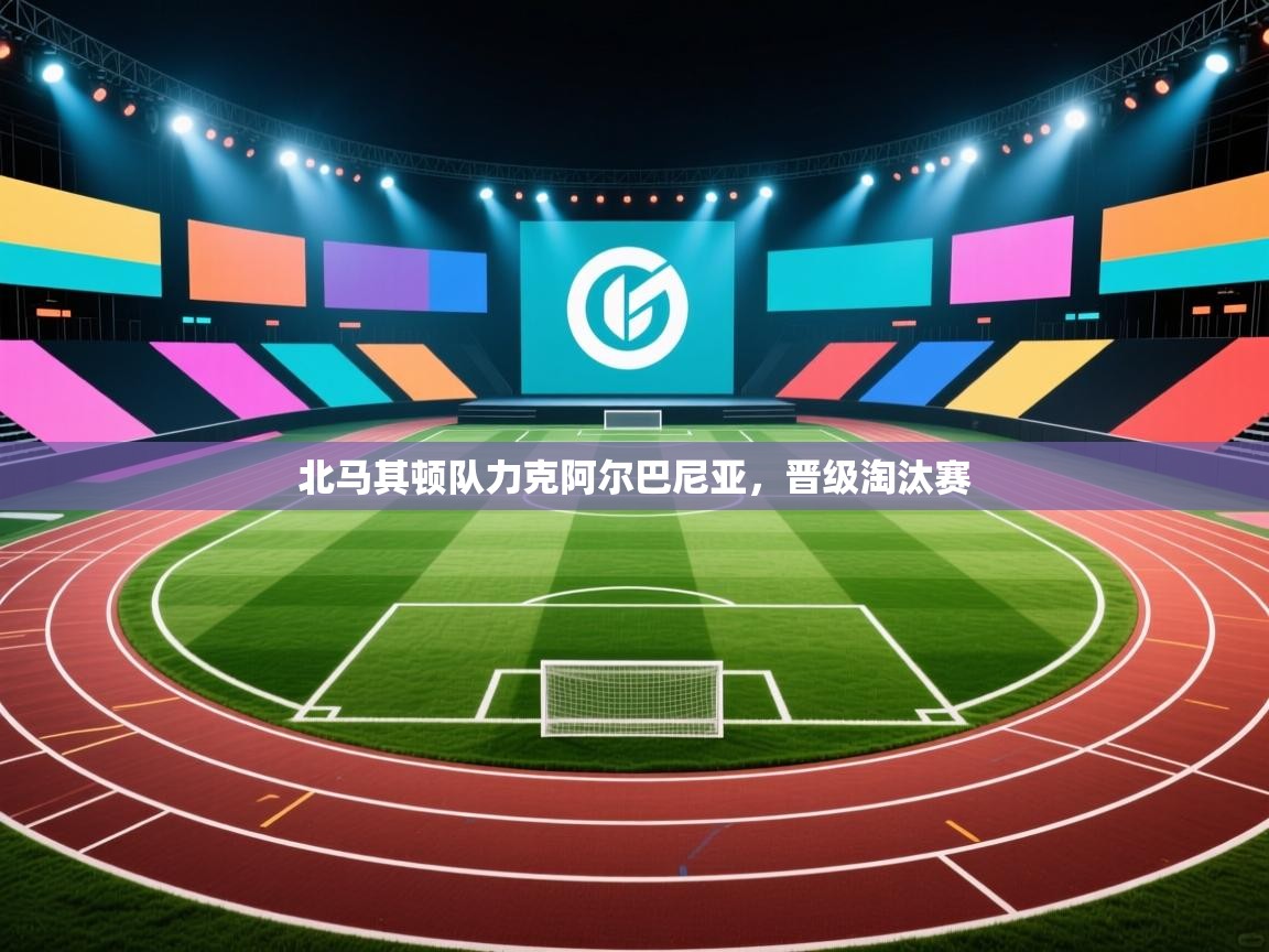 北马其顿队力克阿尔巴尼亚，晋级淘汰赛  第1张