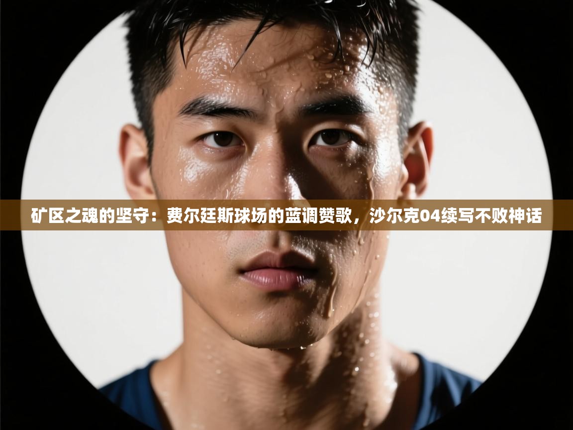矿区之魂的坚守:费尔廷斯球场的蓝调赞歌,沙尔克04续写不败神话 第2张