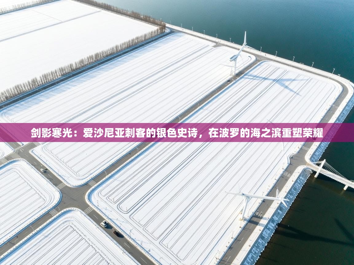 剑影寒光：爱沙尼亚刺客的银色史诗，在波罗的海之滨重塑荣耀