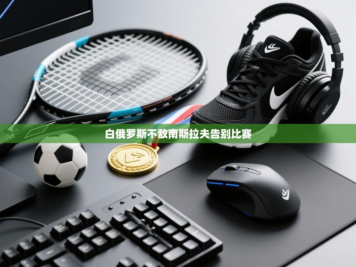 白俄罗斯不敌南斯拉夫告别比赛  第2张